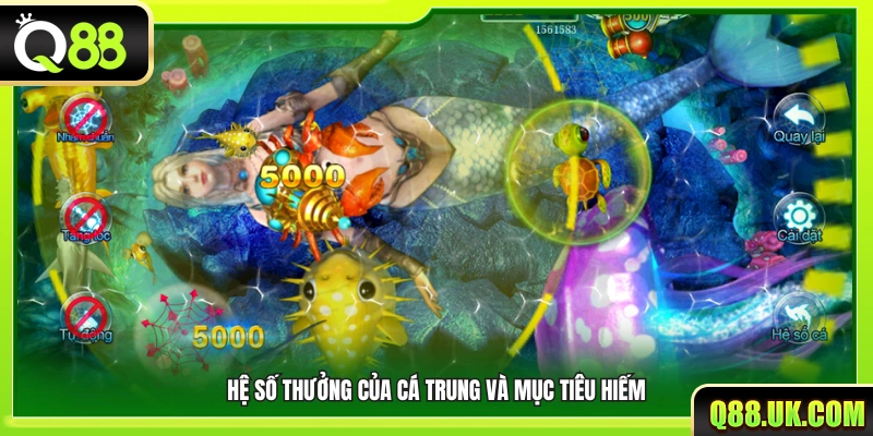 Hệ số trả thưởng của cá trung bình và sinh vật hiếm