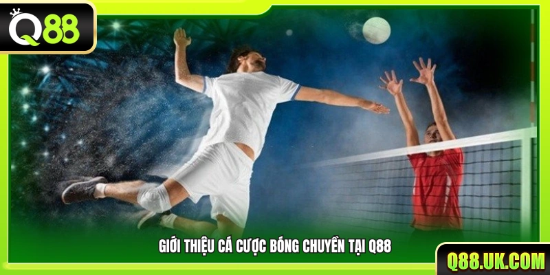 Khái quát sân chơi cá cược bóng chuyền Q88