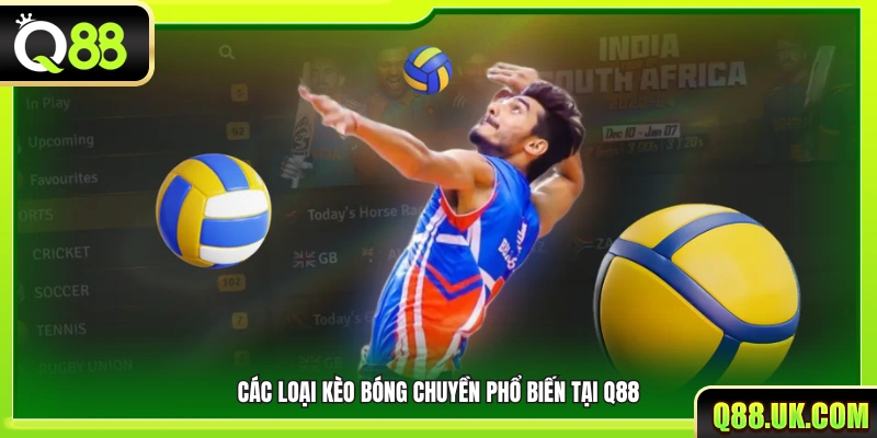 Những loại kèo bóng chuyền được sử dụng nhiều nhất 