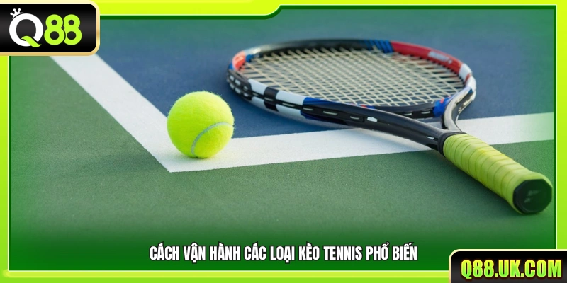 Cơ chế hoạt động của những loại kèo thường gặp