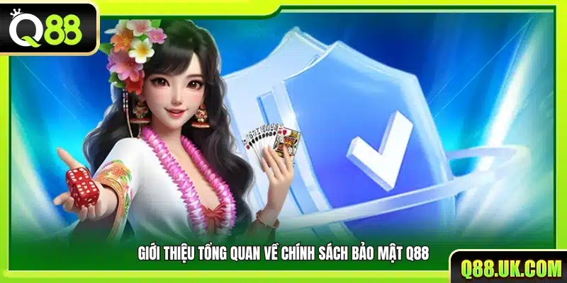 Đôi nét về chính sách bảo mật Q88