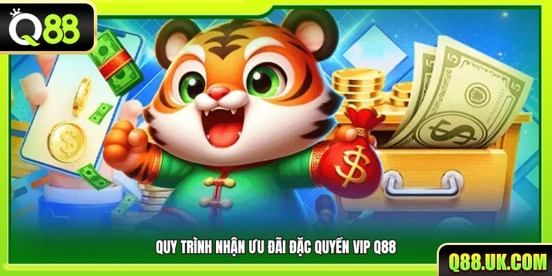 Quy trình kích hoạt và hưởng quyền lợi VIP