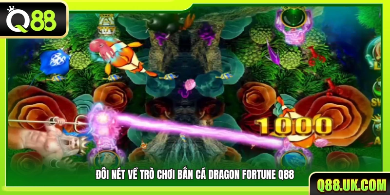 Chủ đề và cơ chế săn cá trong Dragon Fortune Q88