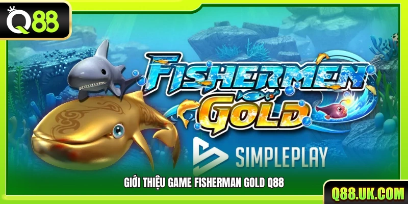 Khái quát điểm nổi bật của Fisherman Gold Q88