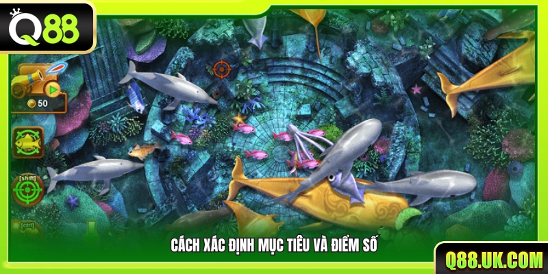 Quy tắc xác định đối tượng bắn và tính điểm