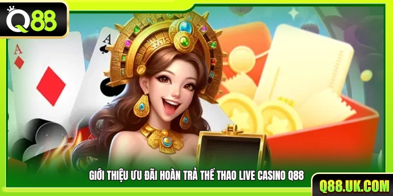 Đôi nét ưu đãi hoàn trả thể thao live casino Q88
