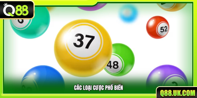 Những kiểu đặt cược được ưa chuộng