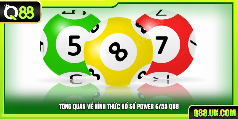 Tìm hiểu về hình thức Xổ Số Power 6 55 Q88